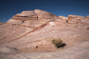 The big horn sheep thought they would be able to enjoy breakfast alone...